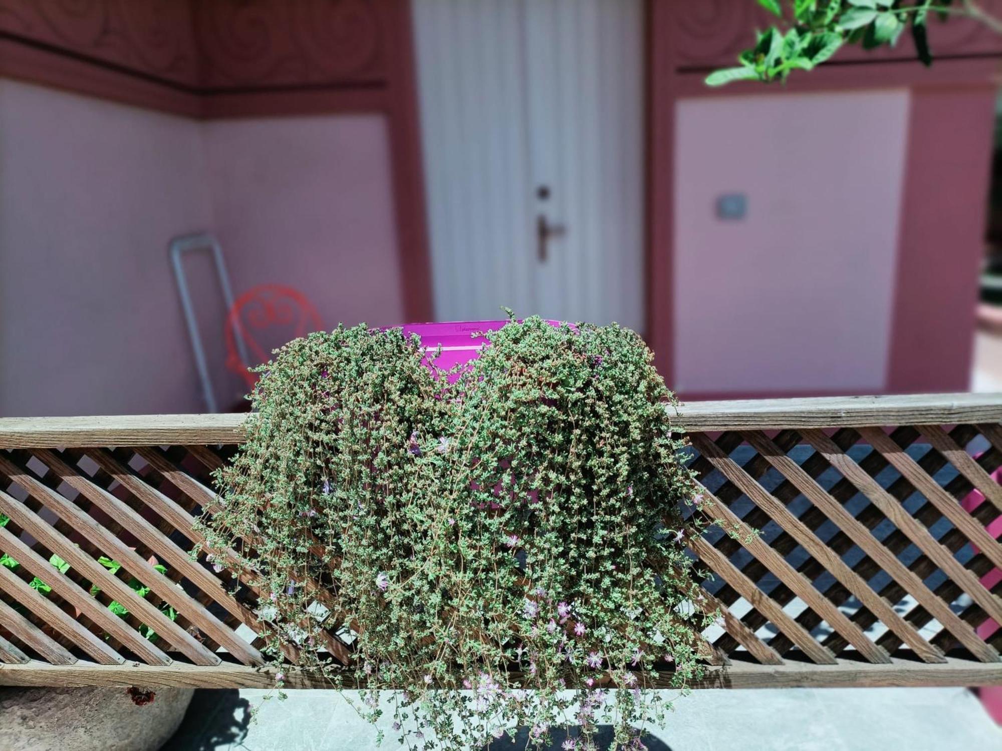 Maison Belle Epoque & Suites أوريستانو المظهر الخارجي الصورة