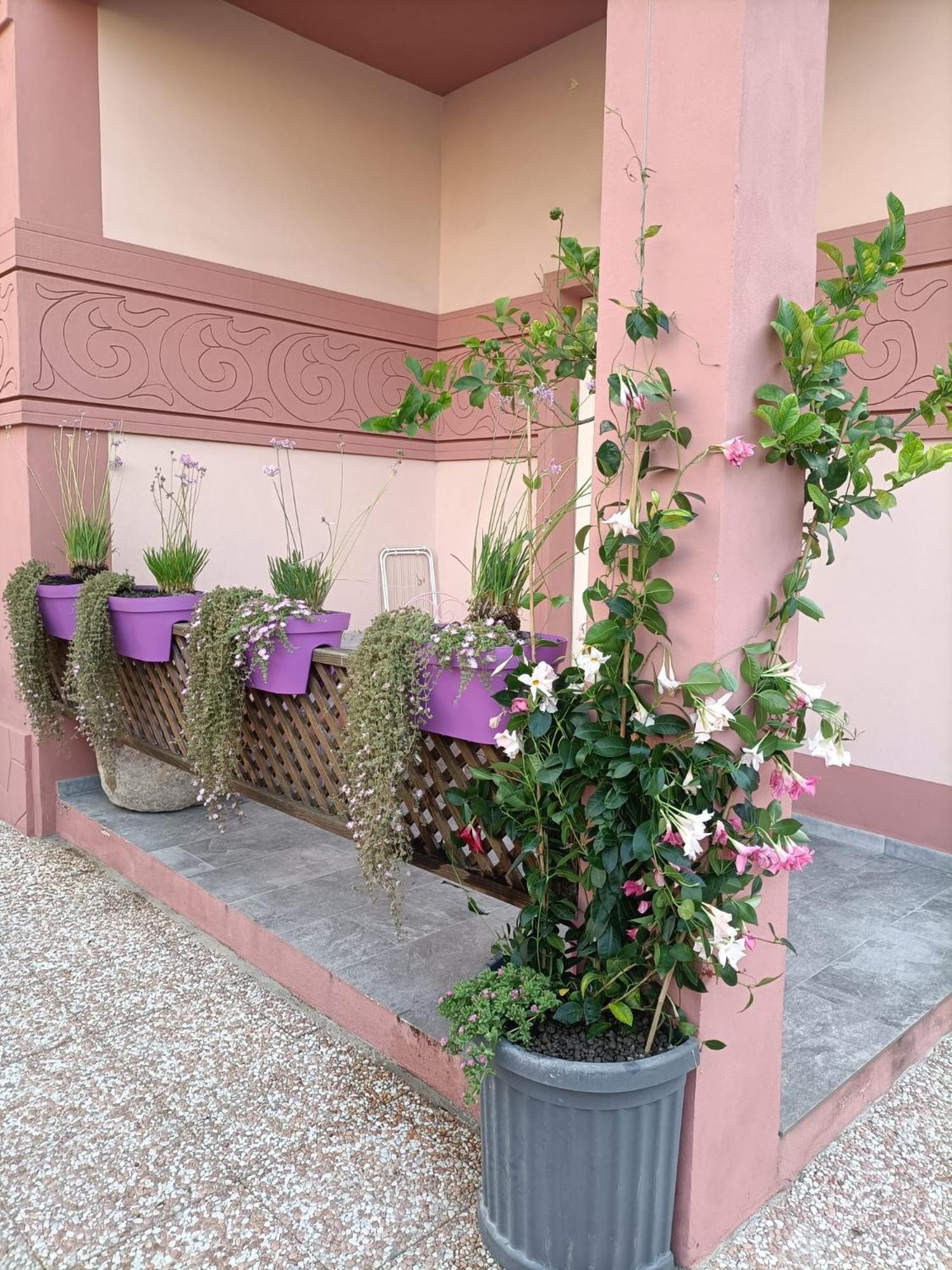 Maison Belle Epoque & Suites أوريستانو المظهر الخارجي الصورة